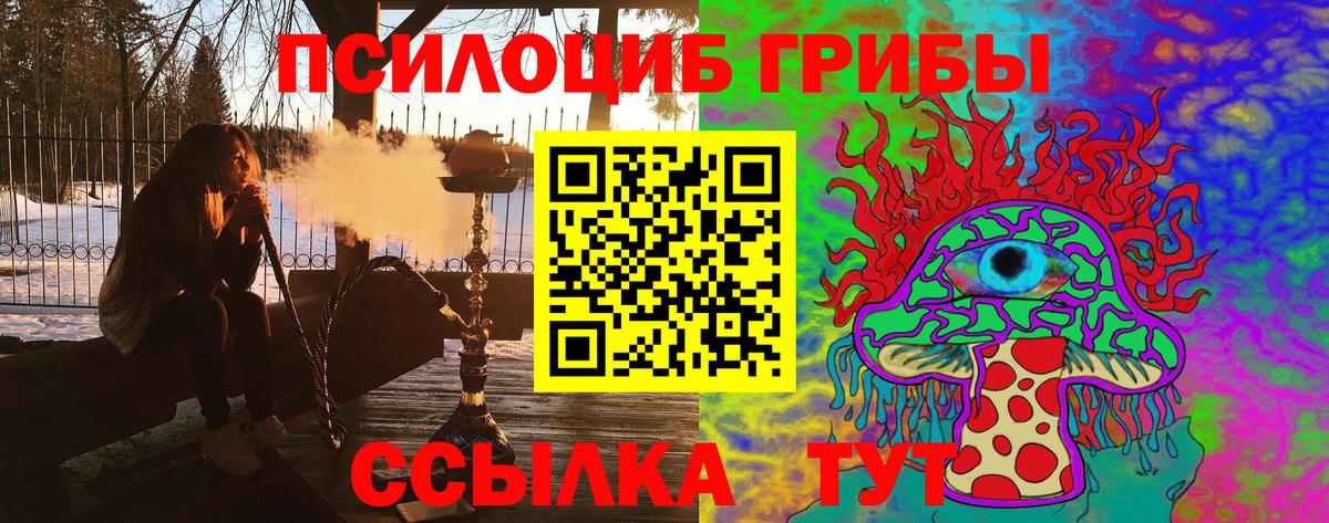 Псилоцибиновые грибы ЛСД Камень-на-Оби